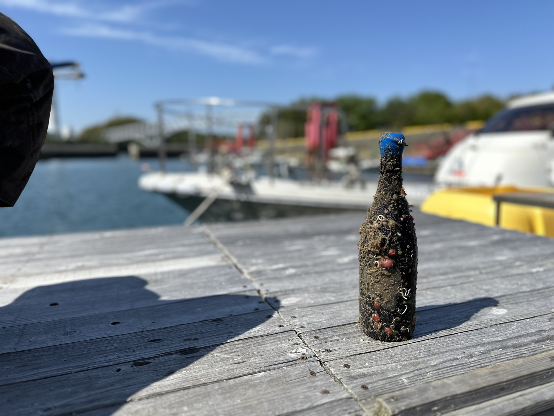 8324bf746497be2ae2ab725ab56dca